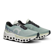 On Running Cloudmonster 2 - Mineral | Aloe